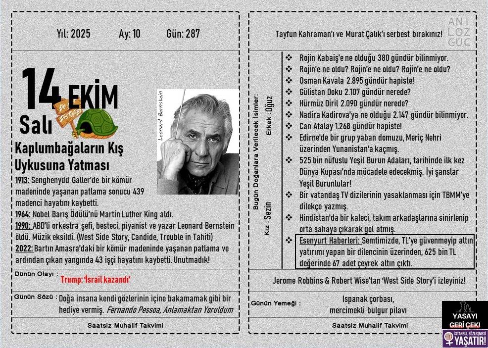 Kaplumbağaların Kış Uykusuna Yatması 1